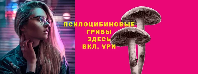 Галлюциногенные грибы MAGIC MUSHROOMS  Десногорск 